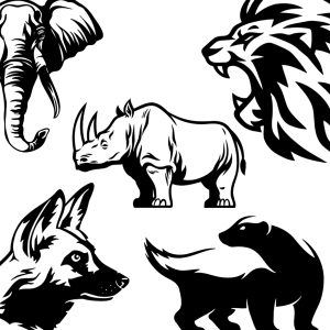 Animals