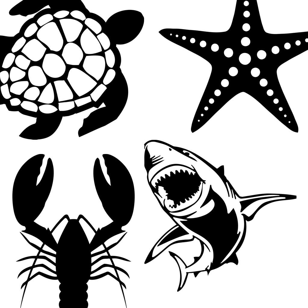 Contact Graphics Stickers Decals Stripes Kits Wraps Signs Ocean Durban South Africa