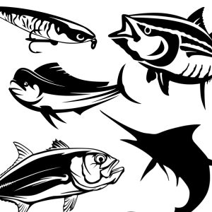 Fishing