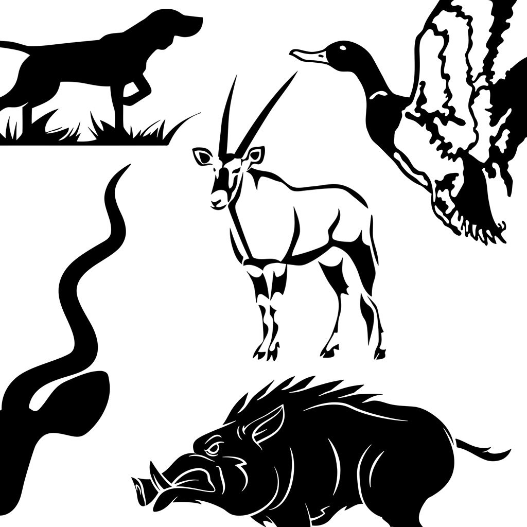 Contact Graphics Stickers Decals Stripes Kits Wraps Signs Hunting Durban South Africa