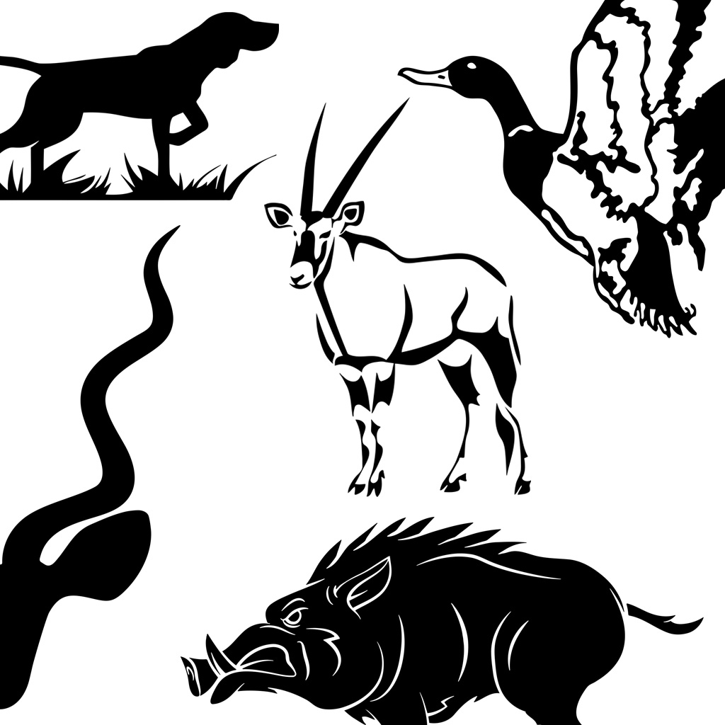 Contact Graphics Stickers Decals Stripes Kits Wraps Signs Hunting Durban South Africa
